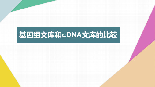 基因组文库和cDNA文库的比较