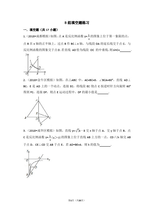 成都中考B卷分类突破专题：填空题练习(含解析)难题(一诊、二诊