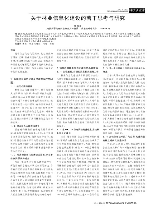 关于林业信息化建设的若干思考与