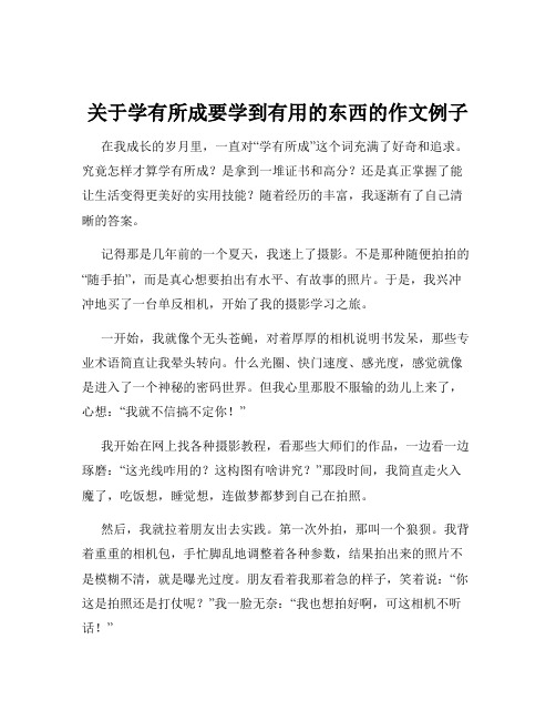 关于学有所成要学到有用的东西的作文例子