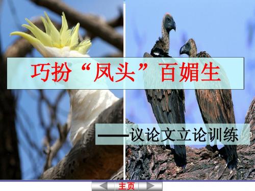 巧扮“凤头”百媚生_秦奎铭