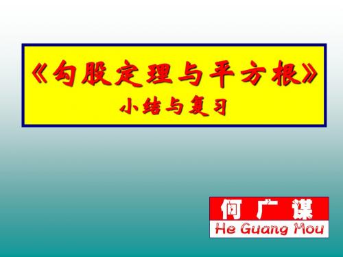 八上第二章勾股定理与实数