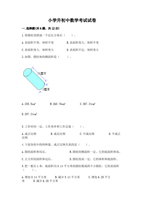 小学升初中数学考试试卷带答案(考试直接用)