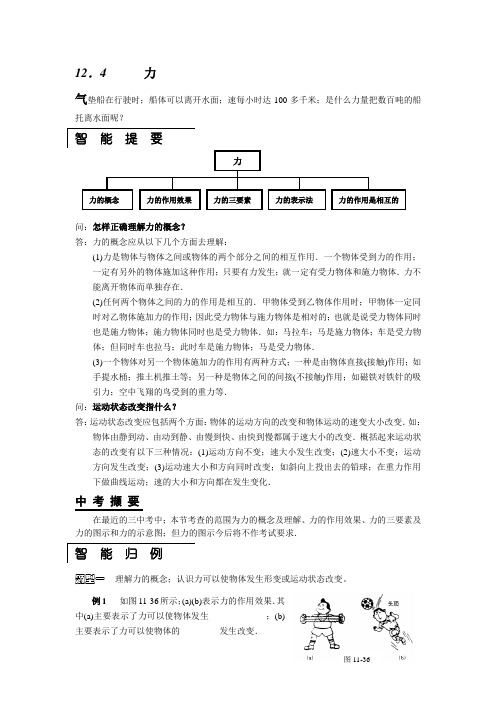 物理九级人教新课标12.4力解析与练习