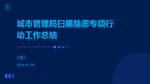 城市管理局扫黑除恶专项行动工作总结