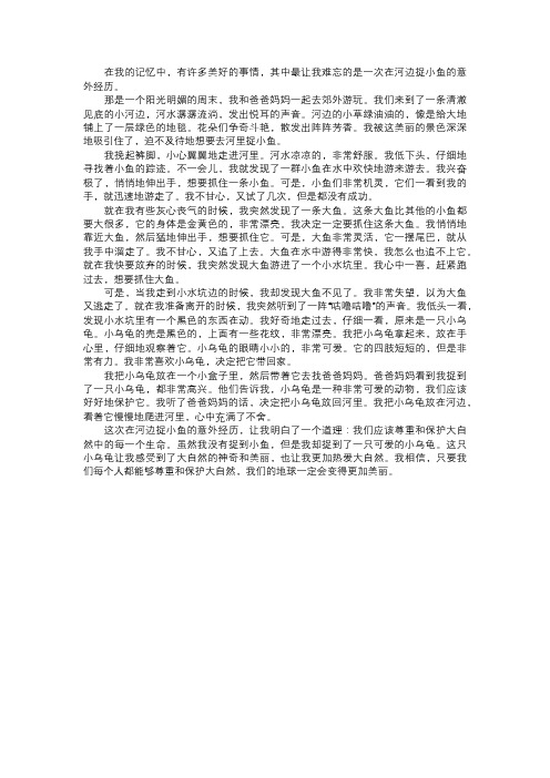 我在河边捉小鱼的意外