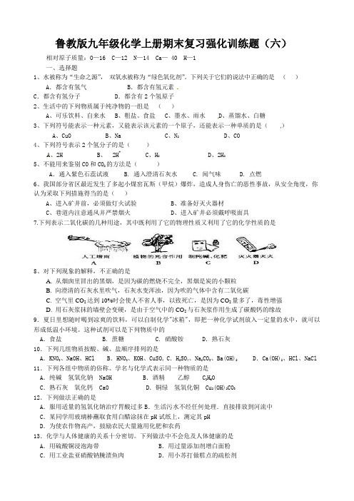 鲁教版九年级化学上册期末复习强化训练题(六)