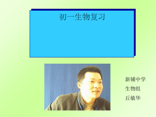 初中生物 初一生物复习(生物与环境的关系等) 北师大版精品课件