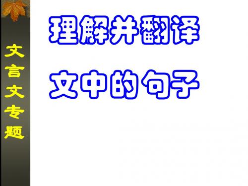 高考复习文言文专题理解并翻译文中的句子PPT (共25张PPT)