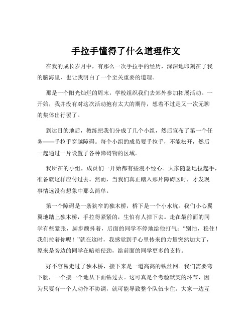 手拉手懂得了什么道理作文