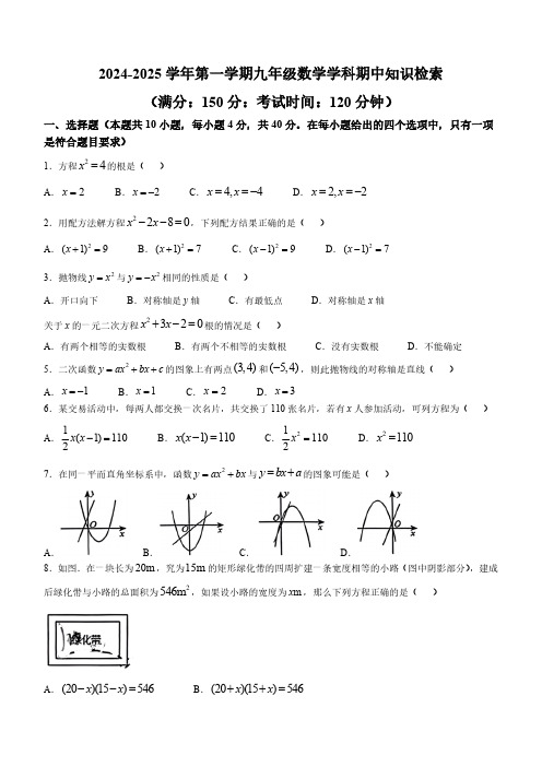 福建省厦门市2024-2025学年上学期九年级期中考试数学试卷(无答案)