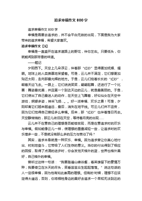 追求幸福作文800字