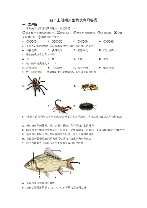 初二上册期末生物试卷附答案