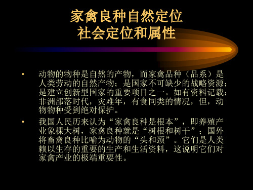 优质家禽产业化育种制种探索67页PPT