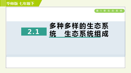 华师版七年级下册科学 第5章 5.2.1多种多样的生态系统 生态系统组成 习题课件