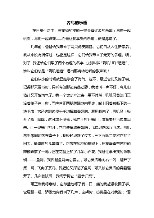 六年级作文：养鸟的乐趣作文600字