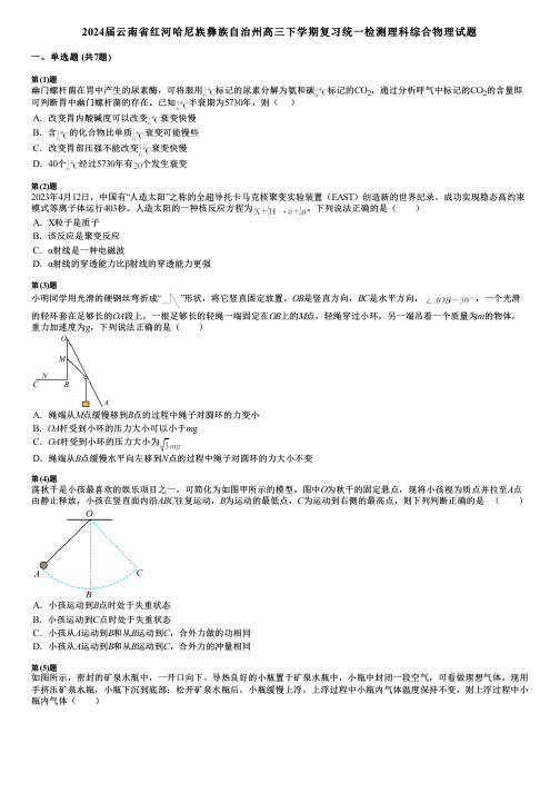 2024届云南省红河哈尼族彝族自治州高三下学期复习统一检测理科综合物理试题