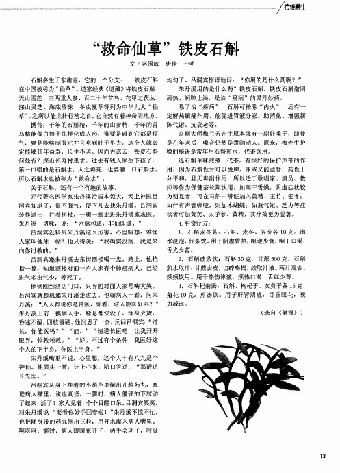 “救命仙草”铁皮石斛