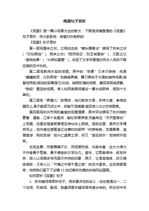 观潮句子赏析