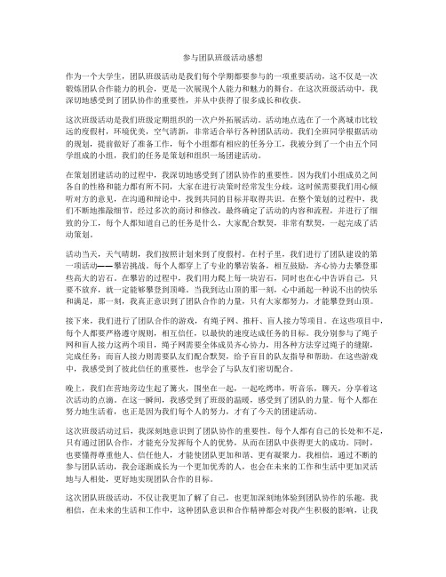 参与团队班级活动感想