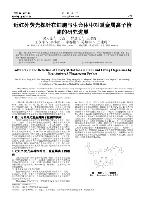 近红外荧光探针在细胞与生命体中对重金属离子检测的研究进展