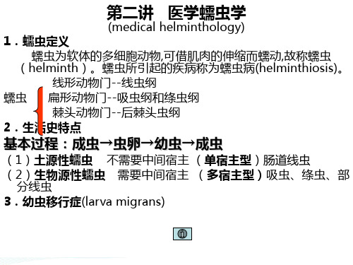 寄生虫课件蠕虫、蛔虫