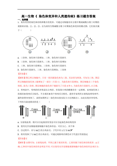 高一生物《 染色体变异和人类遗传病》练习题含答案