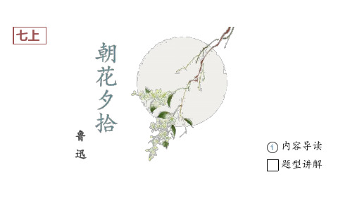 《朝花夕拾》-中考语文必备名著知识点梳理与精讲