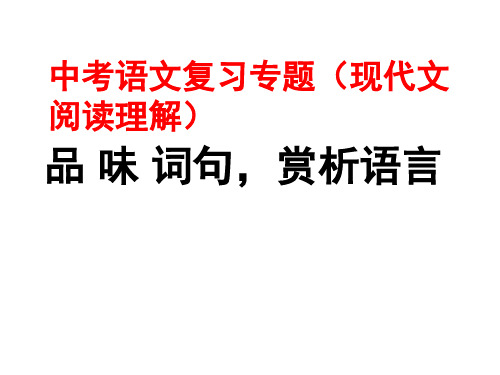 中考语文复习专题考点 7(现代文阅读理解)  ——品味词句赏析语言