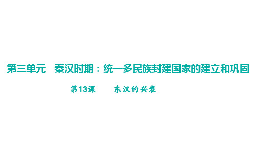 3.13 东汉的兴衰  课件  部编版历史七年级上册