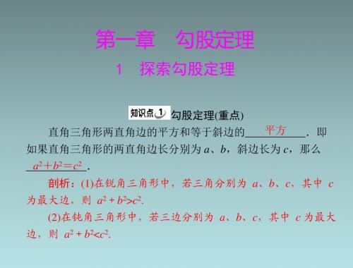 数学：第一章-1《探索勾股定理-》(北师大版八年级)