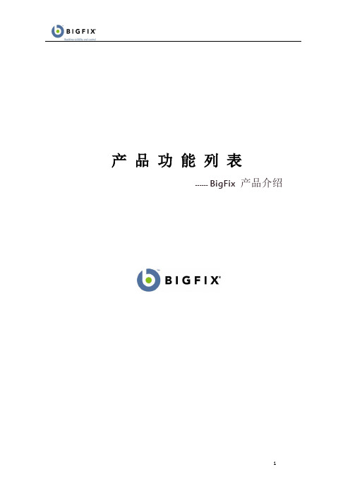 BIGFIX 产品功能列表 (3)