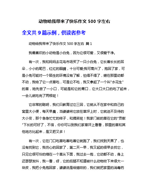 动物给我带来了快乐作文500字左右