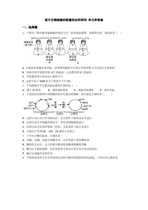 高中生物细胞的能量供应和利用 单元和答案