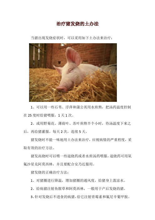 治疗猪发烧的土办法