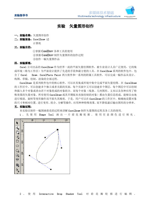 实验指导-矢量图绘制(精)