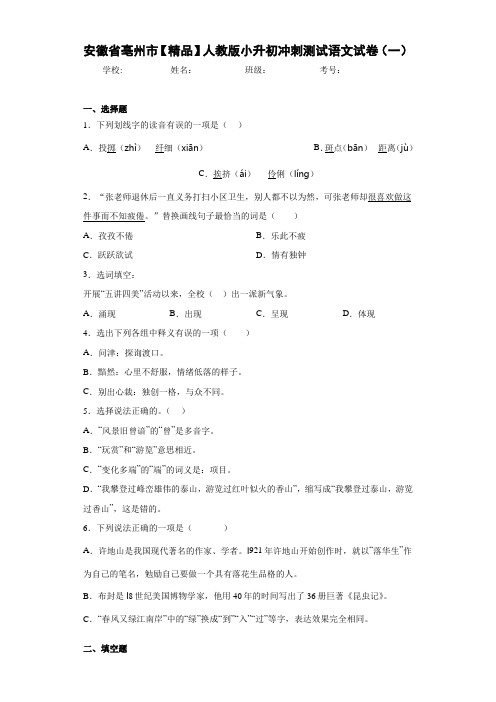 小学安徽省亳州市人教版小升初冲刺测试语文试卷(一)(含答案解析)