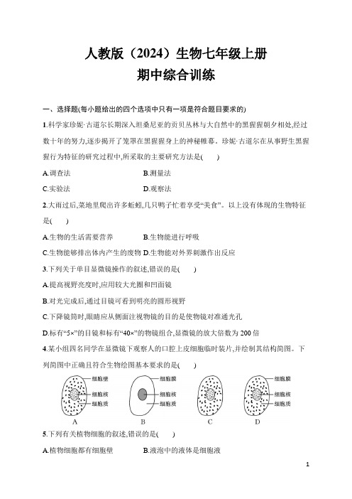 人教版(2024)生物七年级上册期中综合训练