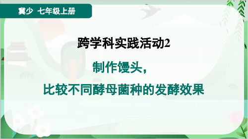 2024年冀少版七年级上册生物跨学科实践活动2