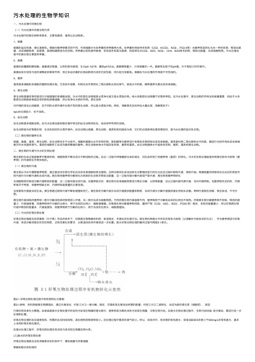 污水处理的生物学知识