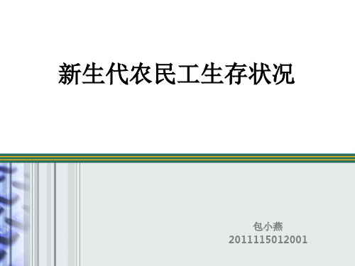 新生代农民工的生存状况