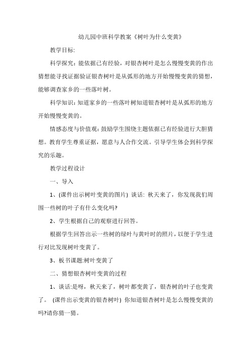 幼儿园中班科学教案《树叶为什么变黄》