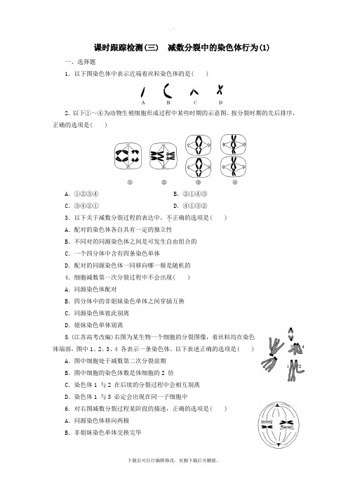 2021年高中生物课时跟踪检测(三)减数分裂中的染色体行为(1)浙科版必修2