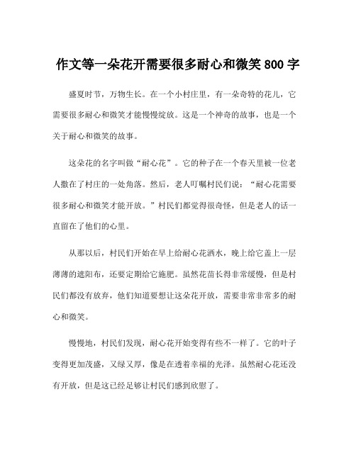 作文等一朵花开需要很多耐心和微笑800字