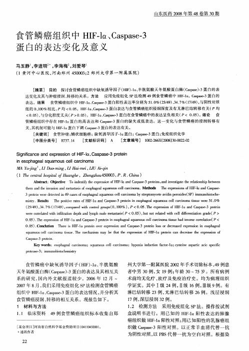 食管鳞癌组织中HIF-lα、Caspase-3蛋白的表达变化及意义