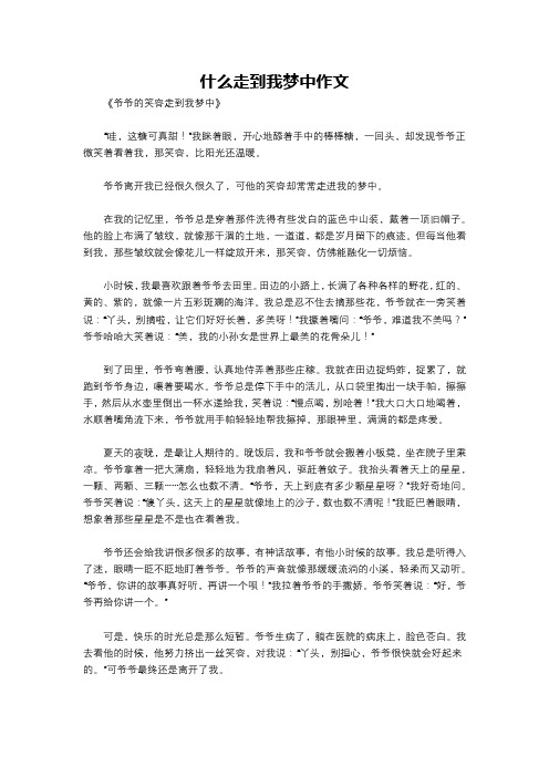 什么走到我梦中作文