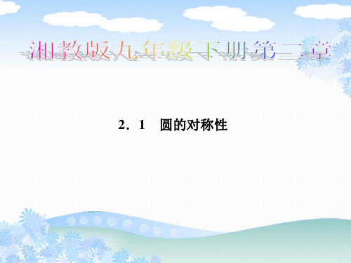 九年级湘教版数学下册圆的对称性PPT精品课件