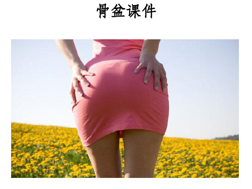 骨盆课件PPT课件