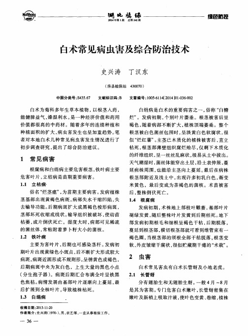 白术常见病虫害及综合防治技术