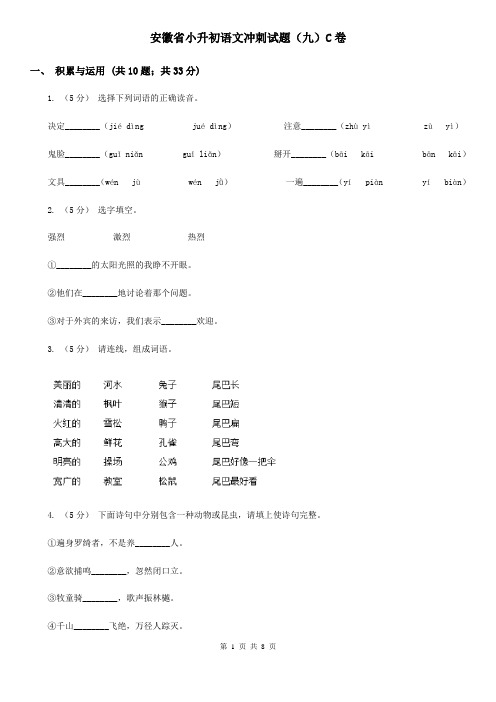 安徽省小升初语文冲刺试题(九)C卷